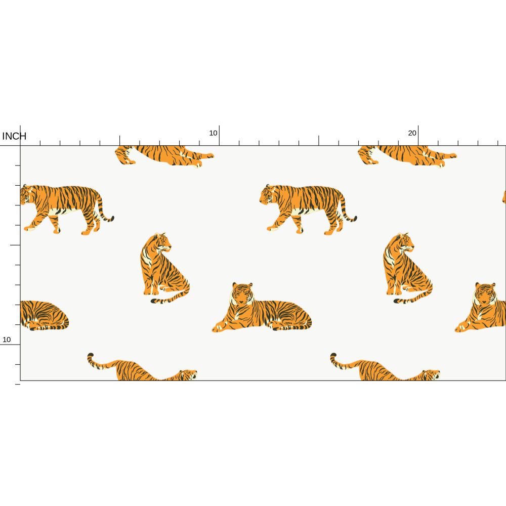 Timid Tigers